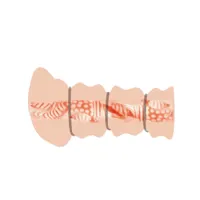 rossi-flesh-3d-vagina-masturbator-bm-009150h-clbm-009150h.jpg