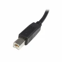 usb-a-to-usb-b-cable-startech-usb2hab2m-black-s55056837-bbs55056837.jpg