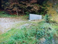 9630.jpg