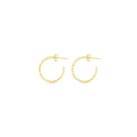 ladies-earrings-radiant-ry000016-s0800614-bbs0800614.jpg