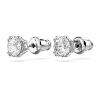 ladies-earrings-swarovski-5636712-s7298483-bbs7298483.jpg