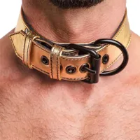 collar-with-leash-bondage-gold-lo-lv761004-cllo-lv761004.jpg