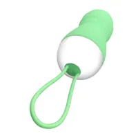 brightgreen-vibrating-egg-remote-control-usb-silicone-a-018-cla-018.jpg