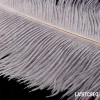 ostrich-feather-44-cm-8436615009862-cl8436615009862.jpg