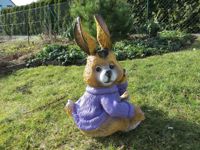 hase_sitzend_lila.jpg