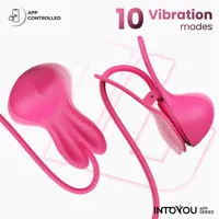 tickly-nipple-clamps-ith-vibration-remote-and-necklace-with-app-in-047-clin-047.jpg