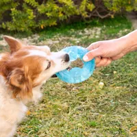 2-in-1-freezable-pet-chew-toy-glubiz-innovagoods-v0103697-bbv0103697.jpg