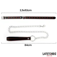 collar-with-leash-52-cm-8436615009329-cl8436615009329.jpg