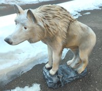 Wolf-Neu-1.jpg