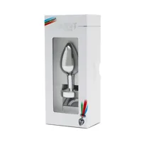 butt-plug-with-led-lights-pisa-silver-r2581-clr2581.jpg