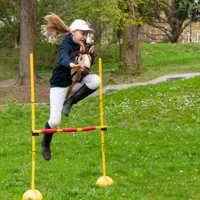 Hobby-Horse-Skippi-kon-na-kiju-Karmel__1231588__1200.jpg