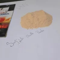 RMY Soapnuts Shell Powder in White Paper 100gram, Pure Reetha Shell Powder, Soap Nut Powder-Ayurv... - image 3