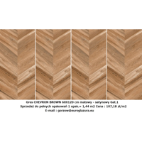 009.chevron.webp