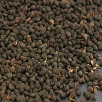RMY Babchi  (Psoralea Corylifolia) 100% Pure &amp; Natural Undiluted Uncut Cold Pressed Carrier O... - image 2