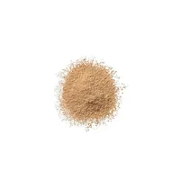 loose-dust-clinique-blended-n-04-transparency-n-04-transparency-25-g-s05101355-bbs05101355.jpg
