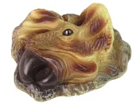 Zestaw-Edukacyjny-Wykopaliska-Dinozaur-Triceratops__928510__1200.jpg