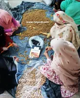 Soap Nuts – Shop Online, RMY Brand Soap Nuts Factory,I use bleach on my whites. Are Soap Nu... - image 3