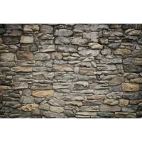 fels.webp
