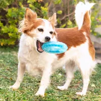 2-in-1-freezable-pet-chew-toy-glubiz-innovagoods-v0103697-bbv0103697.jpg