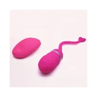 vibrating-egg-with-remote-control-odise-usb-silicone-pink-in-026-clin-026.jpg
