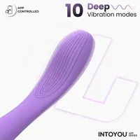 neya-g-spot-vibrator-with-app-purple-in-382-clin-382.jpg