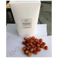 RMY 500g Soap Nut Shells for Jewellery Cleaning in Bux Board, Organic Soap Nuts / All Natural Lau... - image 1