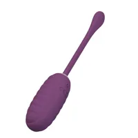 casper-vibrating-egg-with-app-bi-014654hp-1-clbi-014654hp-1.jpg
