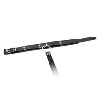 collar-with-restraints-adjustable-black-f-364-clf-364.jpg