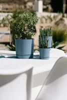 62e3156492e1b06168732d0813caa3e3.jpg