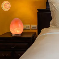Pink Egg Salt Lamps 6″ Unique Crystal Egg Shape for Healing, Positive Energy, and Elegant D... - image 3