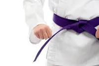 RMY Hapkido Purple Belts,RMY Briliant Quality Hapkido Belts - image 3