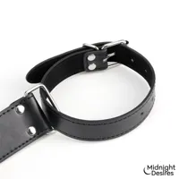 bound-arm-restraint-set-md-050-clmd-050.jpg