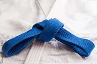 RMY Hapkido Martial Arts Belt – Strong Cotton Rank Belt for Dojo Practice,Hapkido Rank Belt – Rei... - image 2