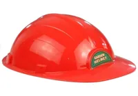 Zestaw-Ogrodnika-Kosiarka-Kask-Kanister-Pchacz__1130488__1200.jpg