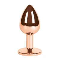 anal-plug-s-pleasures-s4005883-bbs4005883.jpg
