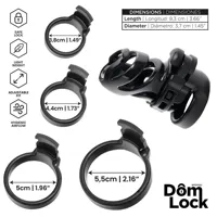 detention-chastity-cage-with-accessory-for-prince-albert-dl-095-cldl-095.jpg