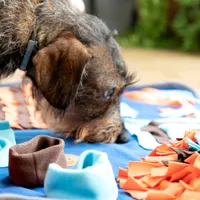 sniffing-mat-for-pets-foopark-innovagoods-v0103590.jpg