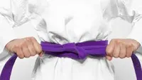 RMY Taekwondo Purple Belts,RMY Fabulous Quality Taekwondo Belts - image 3