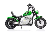 Motor-Na-Akumulator-A9902-36V-Zielony__1105938__1200.jpg