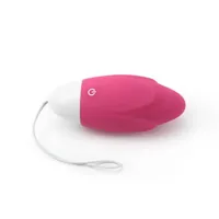 vibrating-egg-ijoy-remote-control-usb-pink-lo-lv1566-cllo-lv1566.jpg