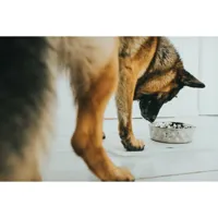 dog-feeder-hunter-silicone-stainless-steel-26-l-s6104658-bbs6104658.jpg