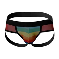c4m13-mixed-jockstrap-rainbow-3760294775905-cl3760294775905.jpg