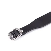 collar-adjustable-43-cm-black-843658379336-cl843658379336.jpg