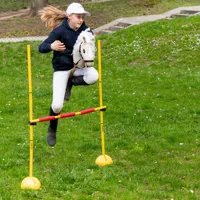 Hobby-Horse-Skippi-kon-na-kiju-Almond__1231623__1200.jpg