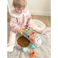 Samochodzik-Muzyczny-Sorter-z-Cymbalkami-Rozowy__1253809__1200.jpg