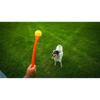 ball-launcher-for-dogs-hunter-yellow-orange-rubber-ball-s6104549-bbs6104549.jpg