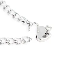 collar-with-lock-metal-size-m-44-cm-843658379348-cl843658379348.jpg