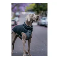 dog-coat-red-dingo-puffer-black-grey-25-cm-s6103764-bbs6103764.jpg