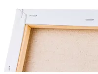 OBRAZ-MALOWANIE-PO-NUMERACH-RAMA-40-50cm-PIES-W-OKULARACH__1182754__1200.jpg