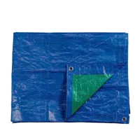 protective-tarpaulin-edm-74995-blue-90-g-m-6-x-10-m-s7916534-bbs7916534.jpg